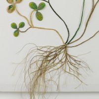  Laurentine PERILHOU - Les Trèfles